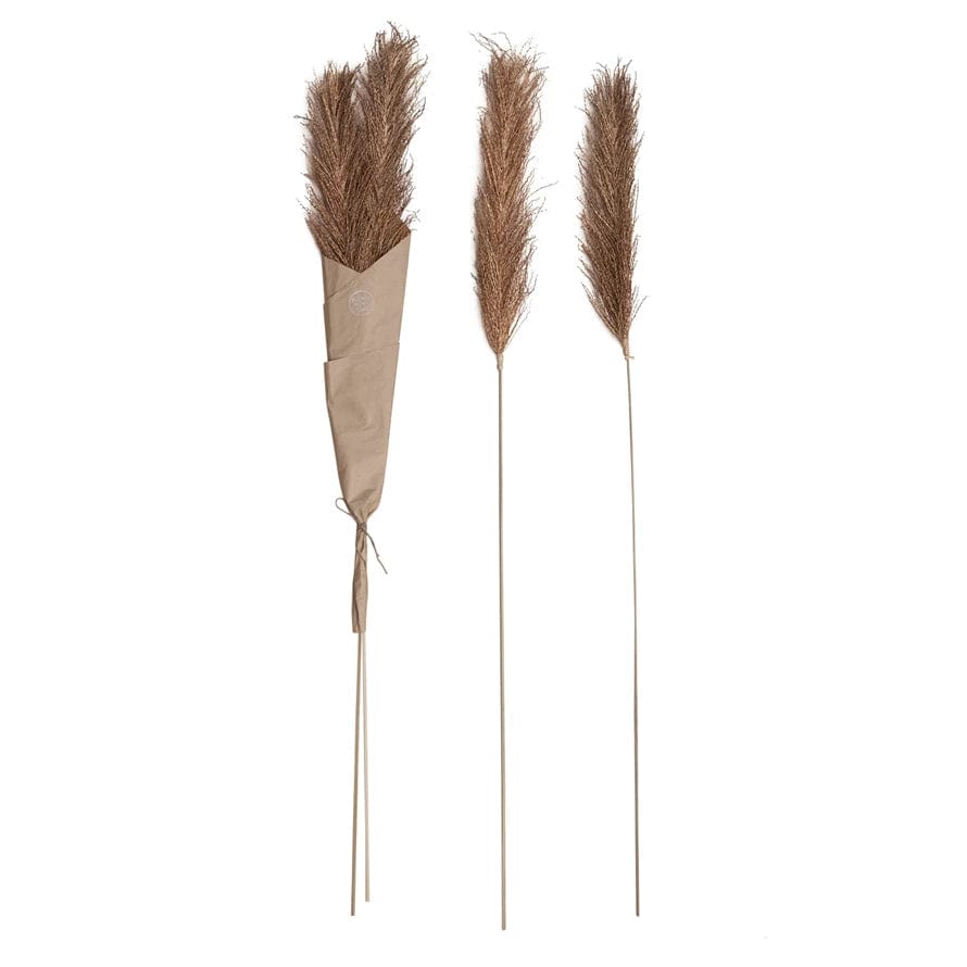 Creative Co-Op Creative Co-op 4 Piece Dried Natural Date Palm Bunch - Little Miss Muffin Children & Home