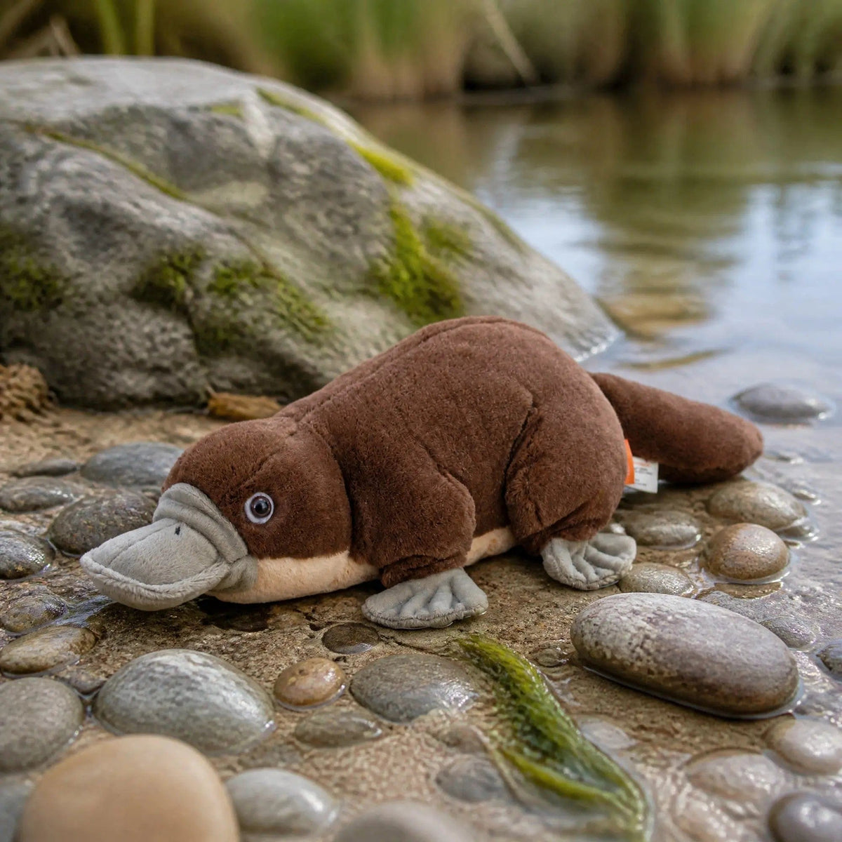 Wild Republic Cuddlekins Platypus Plush, view 6