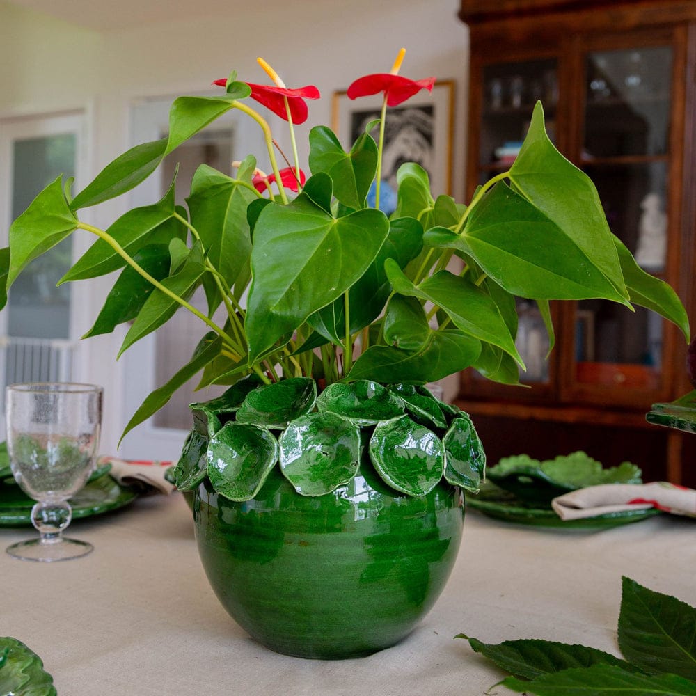 Abigail's Home Decor Nasturtium Green Cachepot with Petals - Little Miss Muffin Children & Home