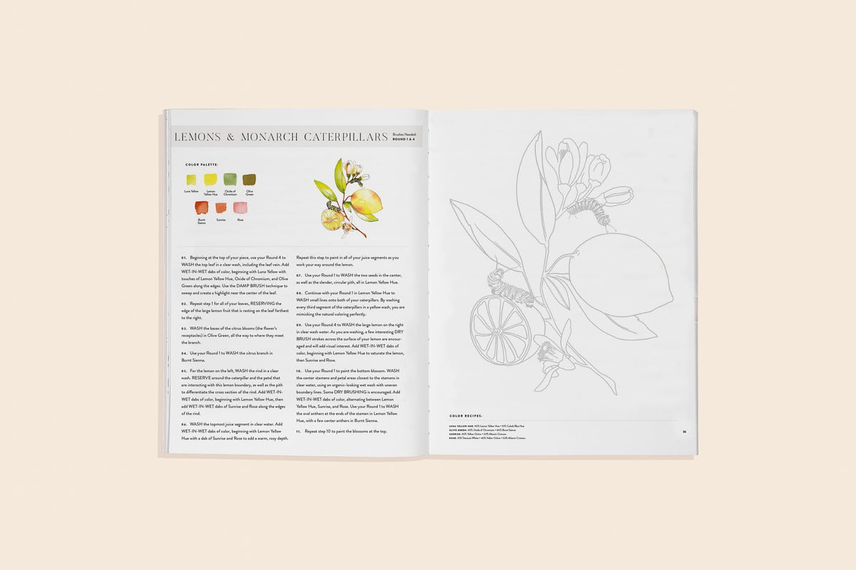 Paige Tate & Co Watercolor Workbook 2: Flowers, Feathers, & Animal Friends - Little Miss Muffin Children & Home