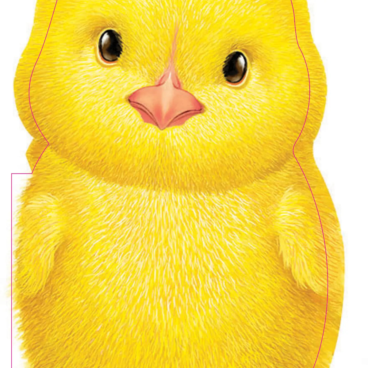 Sourcebooks Furry Chick Board Book - Little Miss Muffin Children & Home