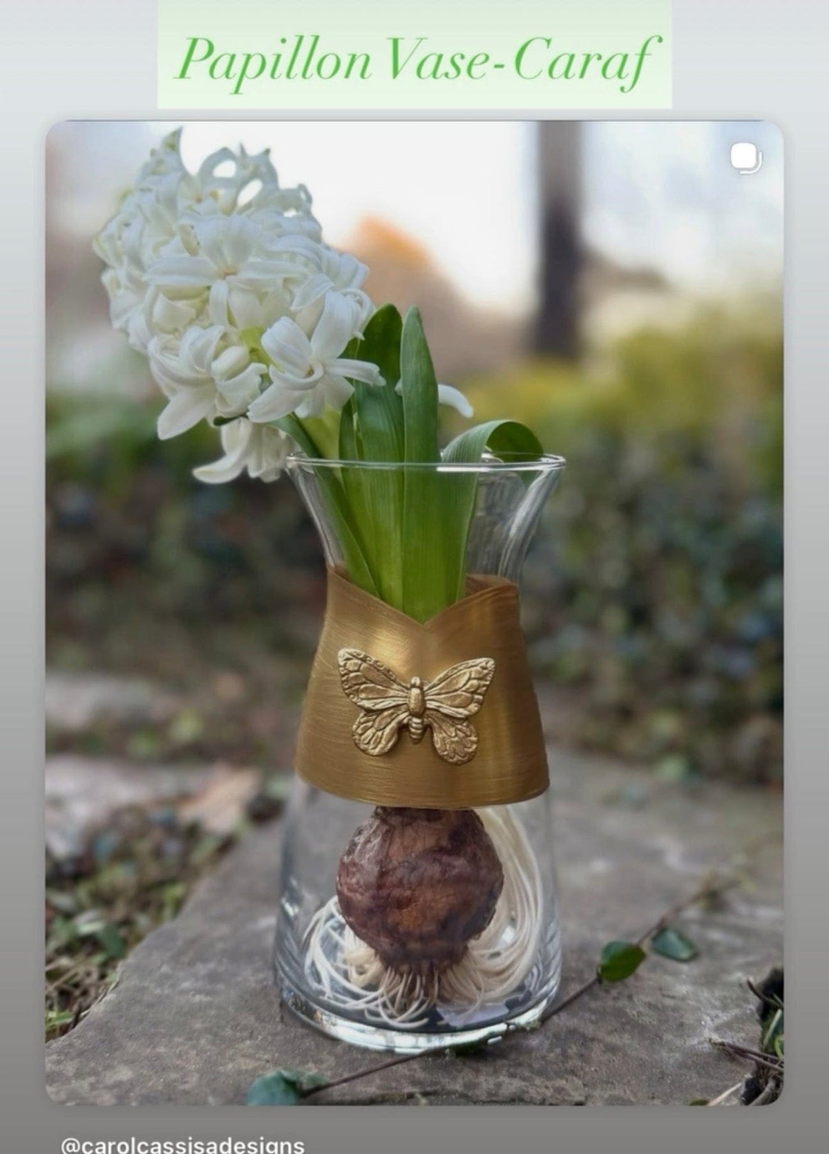 Carol Cassisa Vase-Caraf Grande Papillon (Large Butterfly) - Little Miss Muffin Children & Home