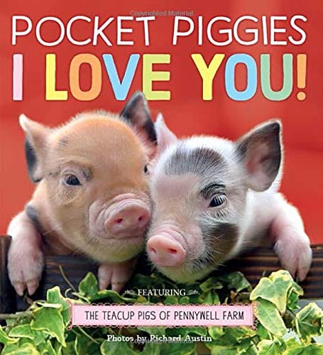 Hachette Book Group Pocket Piggies: I Love You! - Little Miss Muffin Children & Home