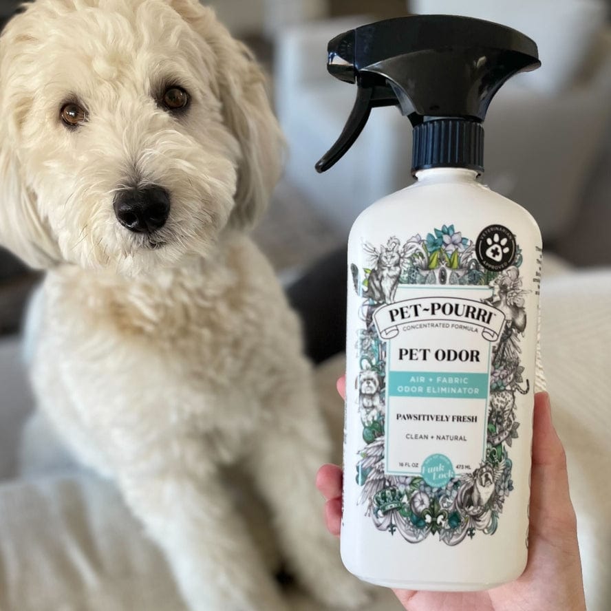 ~Pourri Pet~Pourri Pawsitively Fresh Air+Fabric Odor Refresher 16oz - Little Miss Muffin Children & Home