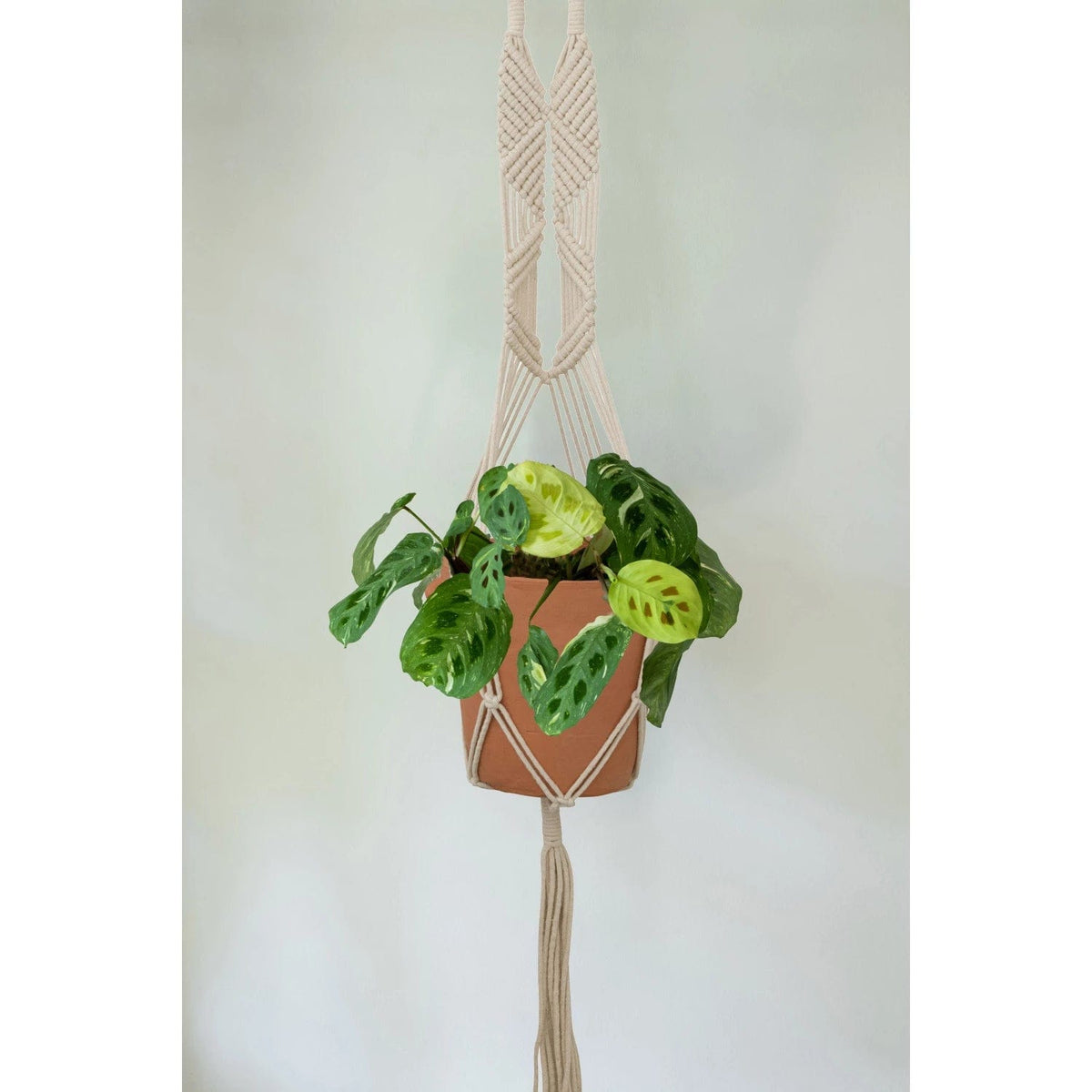 Bloomingville Bloomingville Hand-Woven Cotton Macrame Plant Hanger - Little Miss Muffin Children & Home