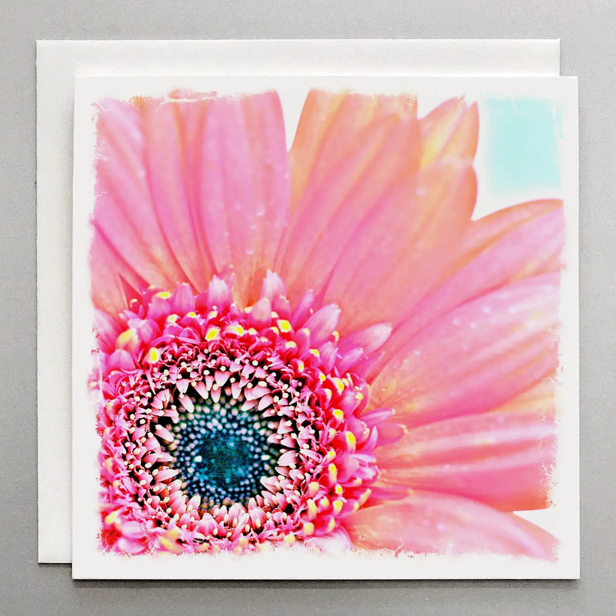 Susan Case Designs Bright Pink Daisy Card - Floral Card - Little Miss Muffin Children & Home