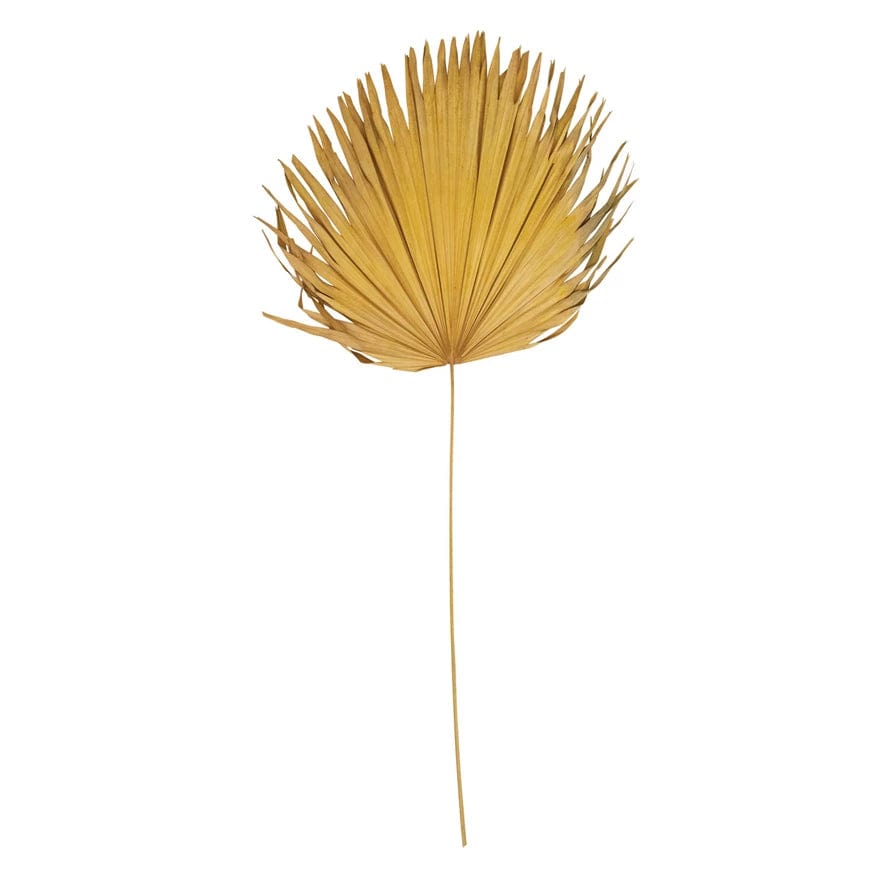 Creative Co-op Creative Co-op 44"-48"H Anahaw Dried Palm Leaf, Yellow (Each One Will Vary) - Little Miss Muffin Children & Home