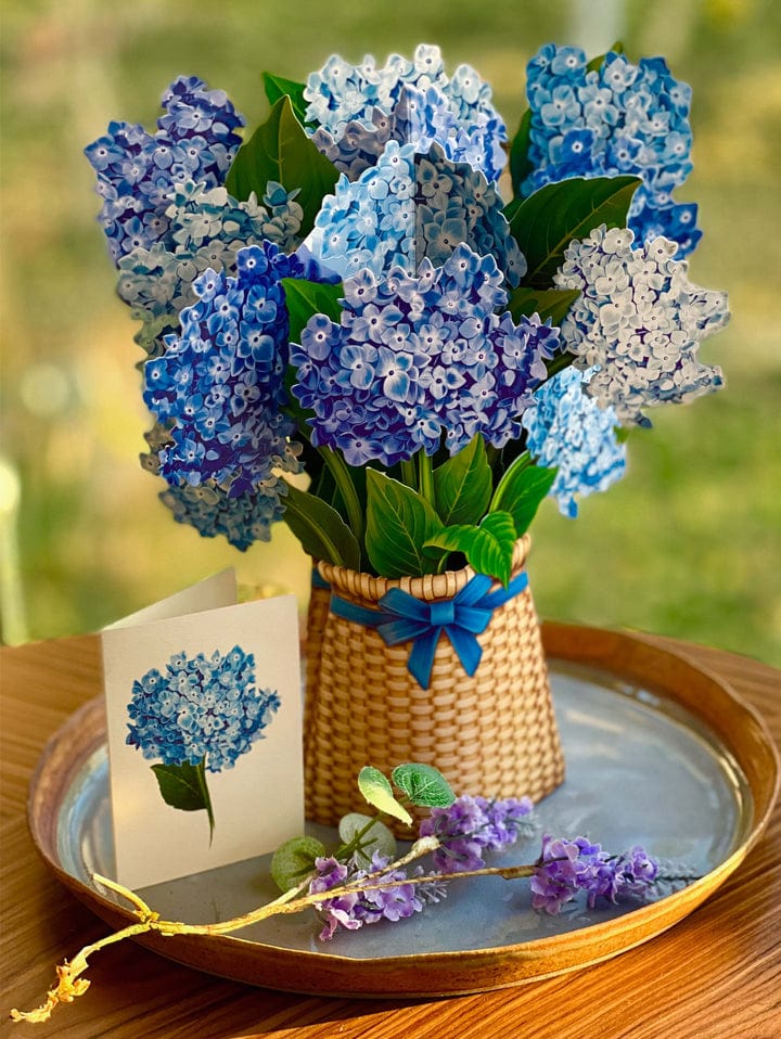 FreshCut Paper FreshCut Paper Nantucket Hydrangea - Little Miss Muffin Children & Home